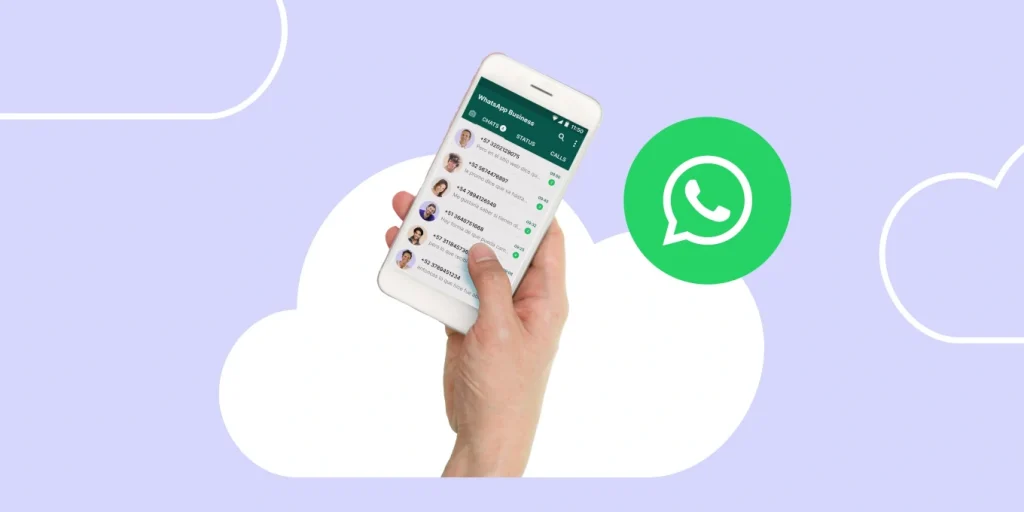 fungsi whatsapp api
