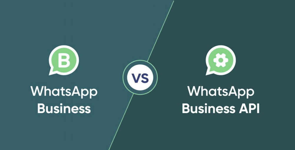 whapi vs twilio vs whatsapp business api